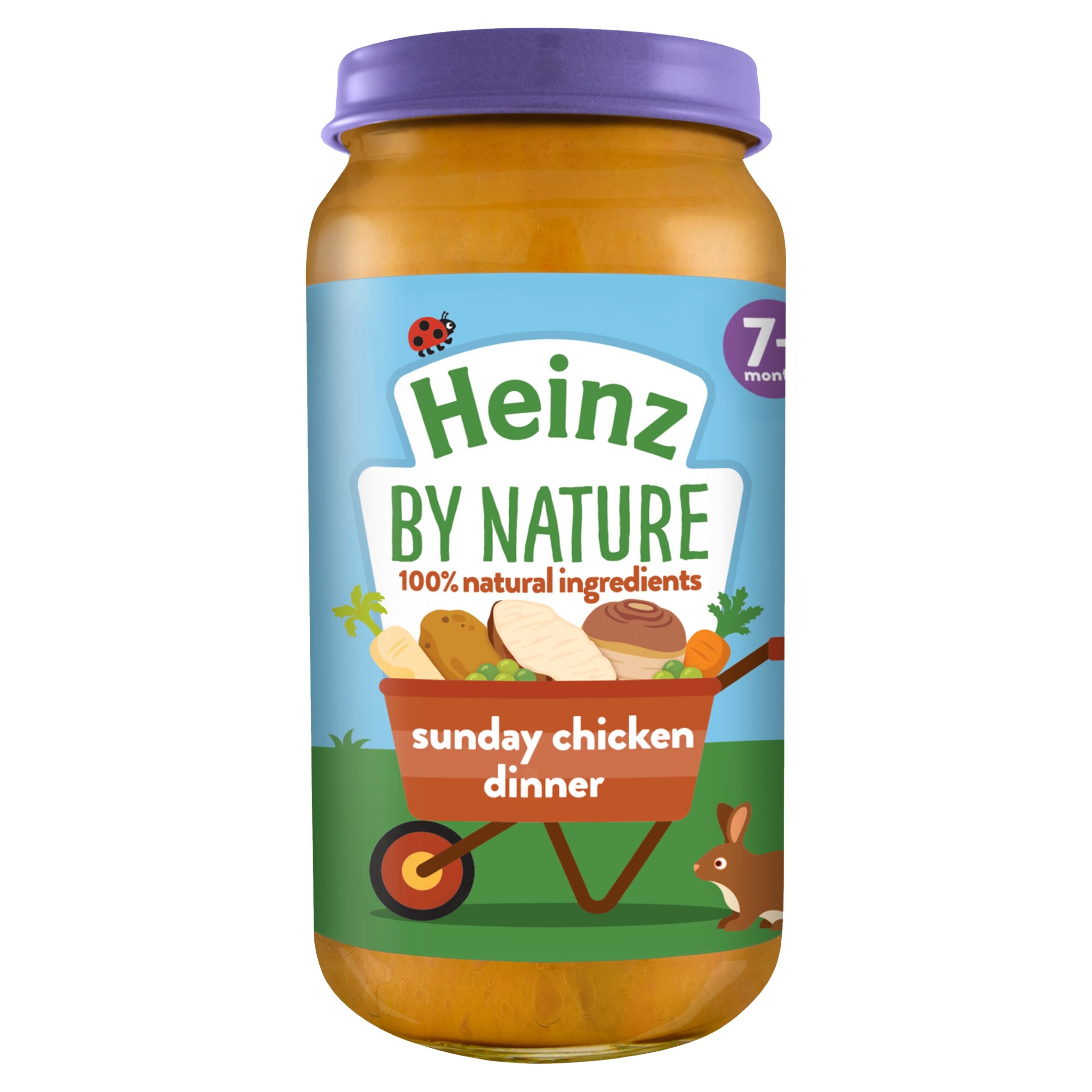 heinz baby food