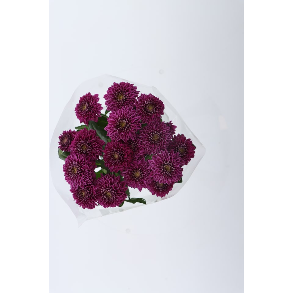 image 1 of The Floral Connection Chrysanthemums Bouquet