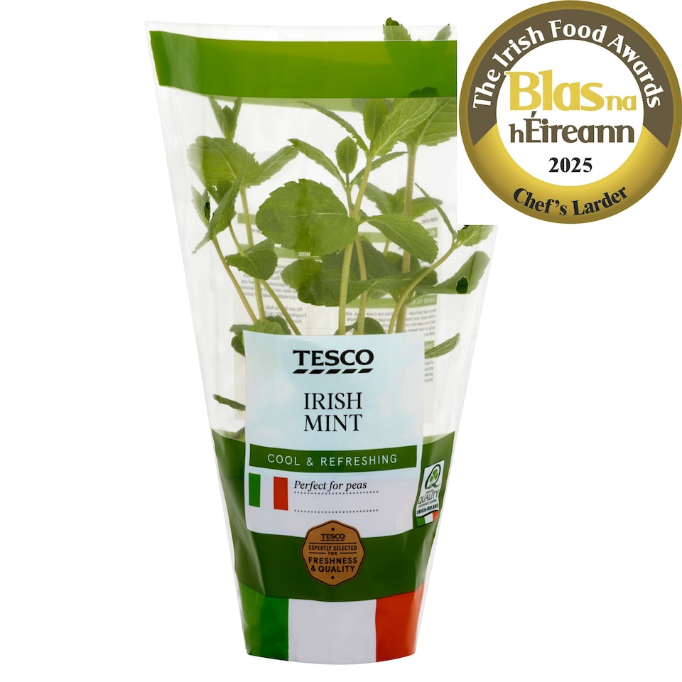 image 1 of Tesco Growing Herb Mint