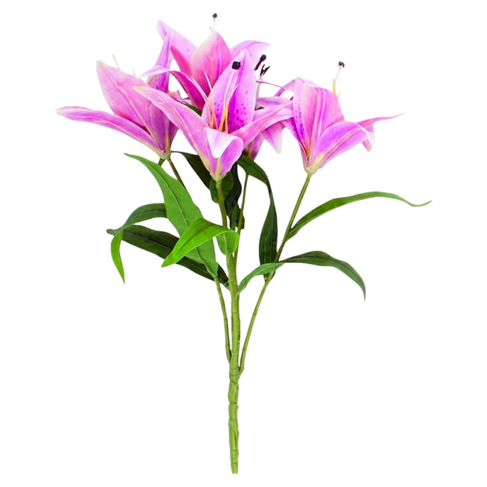 image 1 of Lily Flower
