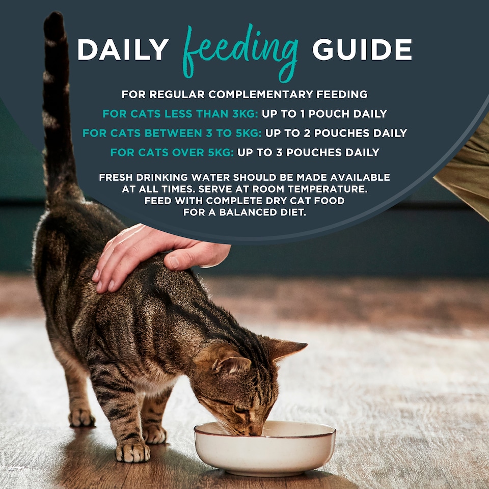 image 1 of Encore Fish Selection In Gravy Cat Food 5 x 50g