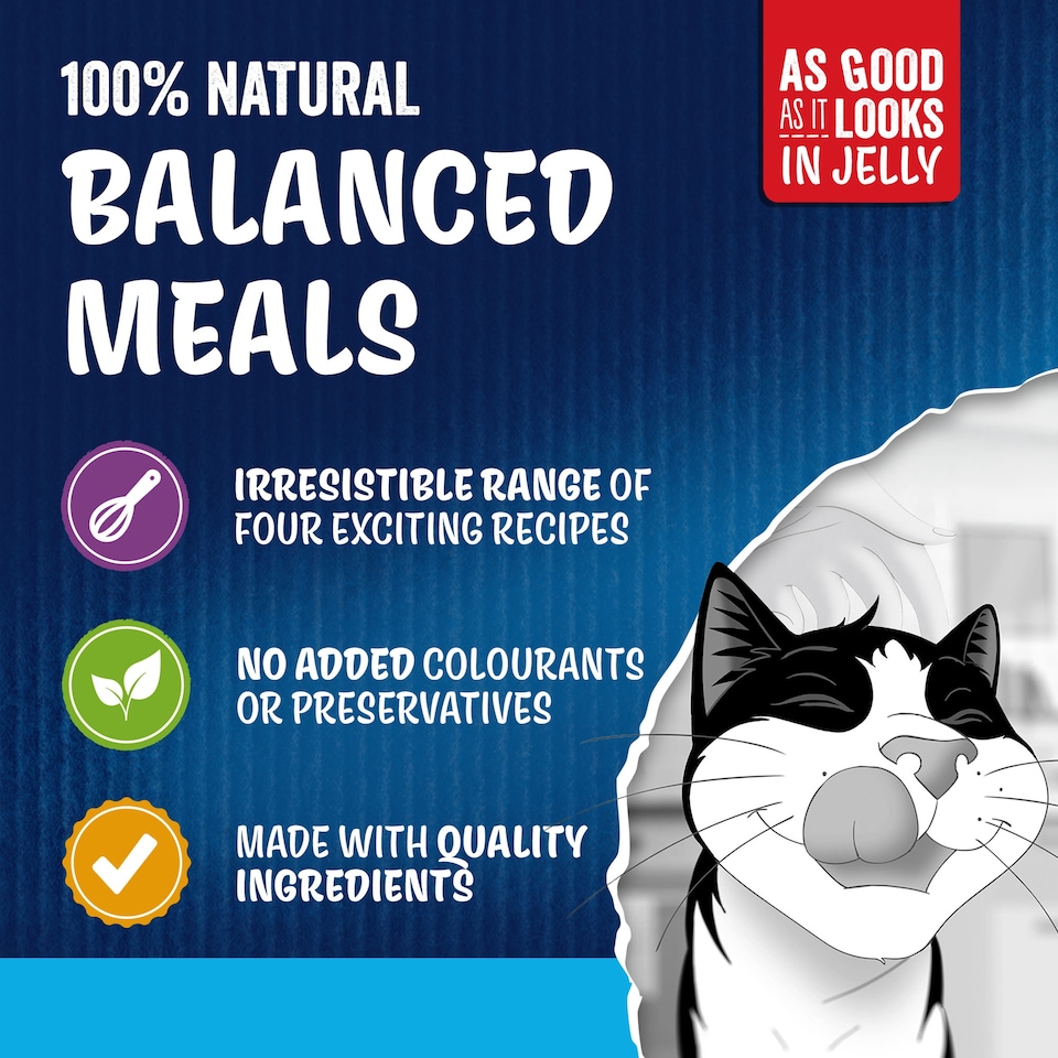 image 1 of Felix As Good As it Looks Senior 7+ Fish in Jelly Wet Cat Food 12x85g
