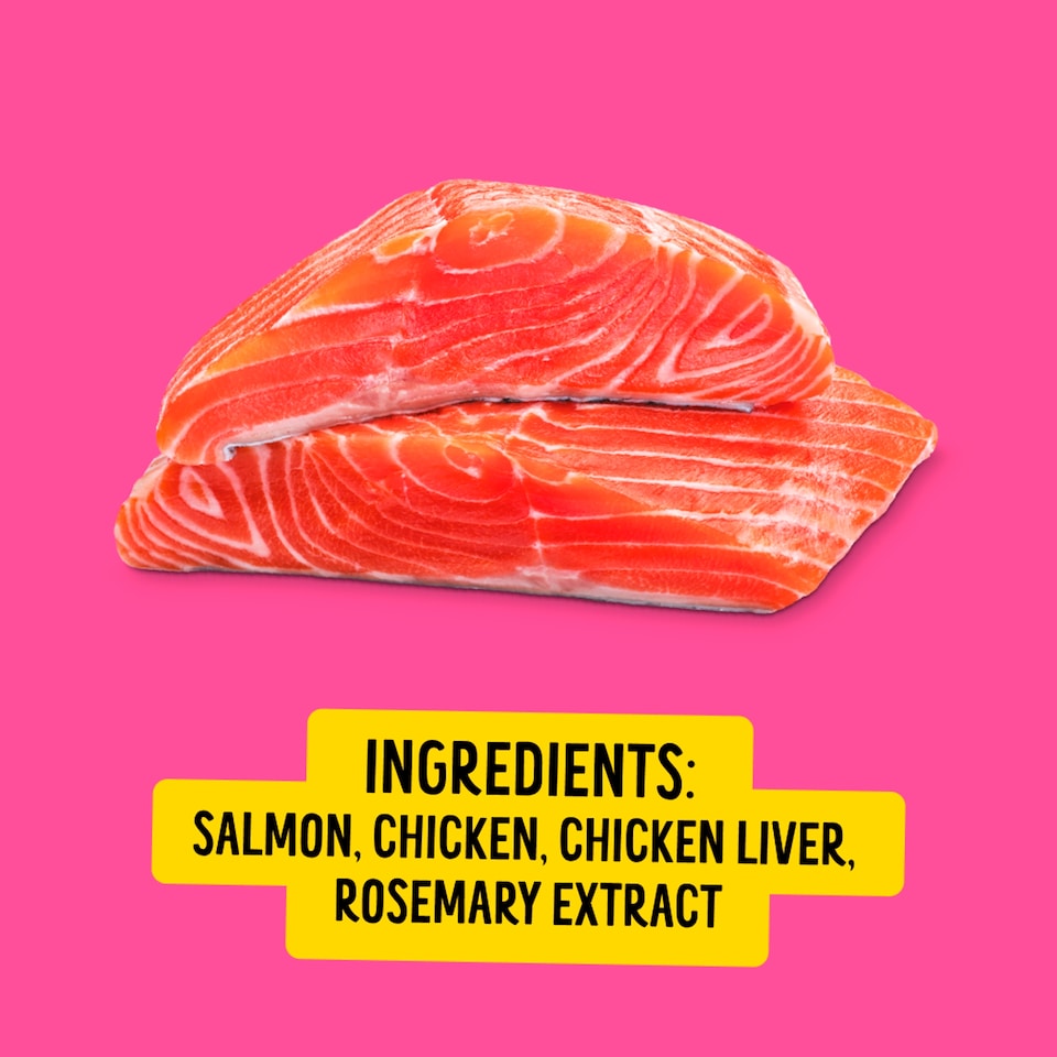 image 1 of Bonkers Purr Pops Freeze-Dried Cat Treats - Lip Smackin' Salmon 4 Pack 5.6g