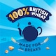 image 2 of McVities Rich Tea The Classic One Twin Pack 2 x 300g