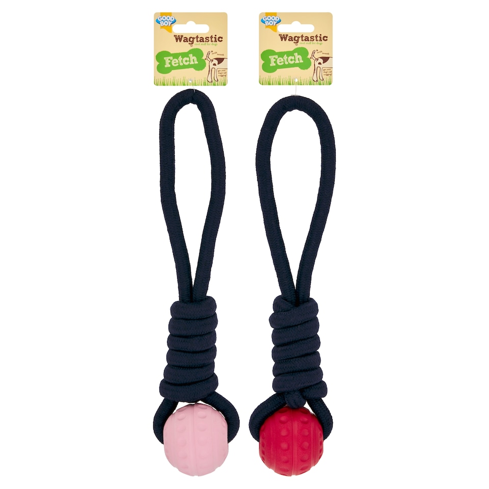 image 1 of Good Boy Wagtastic Fetch Ball on Rope Dog Toy