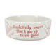 image 3 of Harry Potter Dog Bowl 