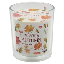 Tesco Home Autumn Candle 170g