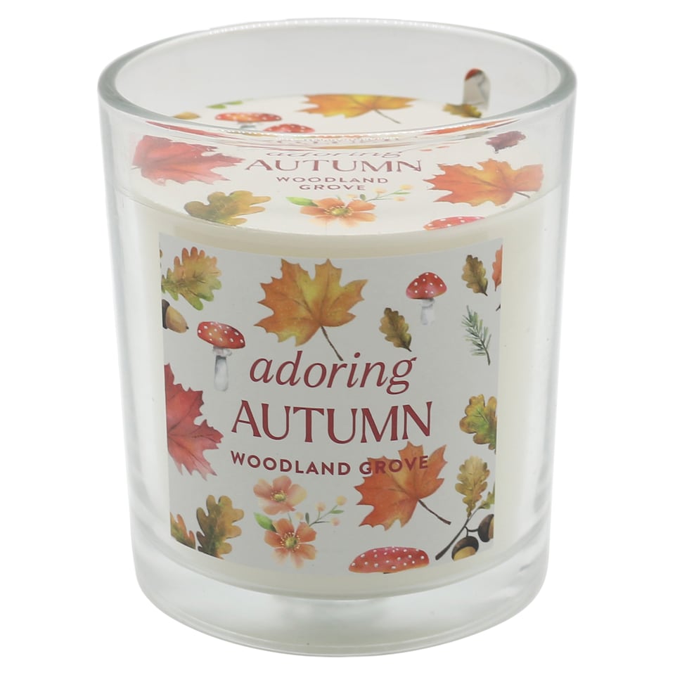Tesco Home Autumn Candle 170g