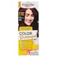 image 1 of Schwarzkopf Palette Color Shampoo Hair Color Chocolate Brown 4-99 (301)