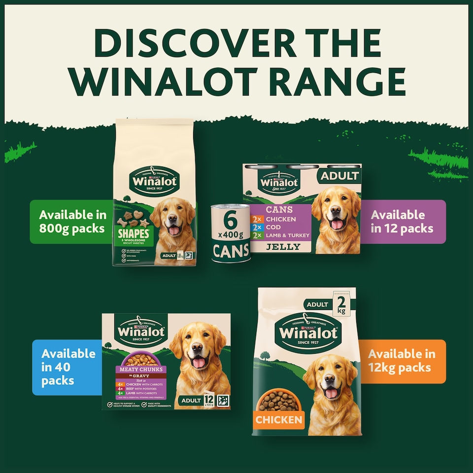 image 1 of WINALOT Classic Meals Small Dog Mixed in Jelly Wet Dog Food 12x85g