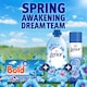 image 2 of Bold Washing Liquid Pods Spring Awakening 15 washes 295.5g