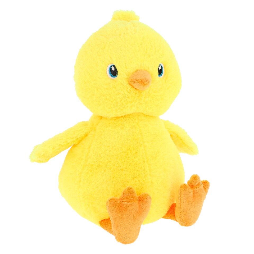 KEEL CHESNEY THE CHICK - LOOSE