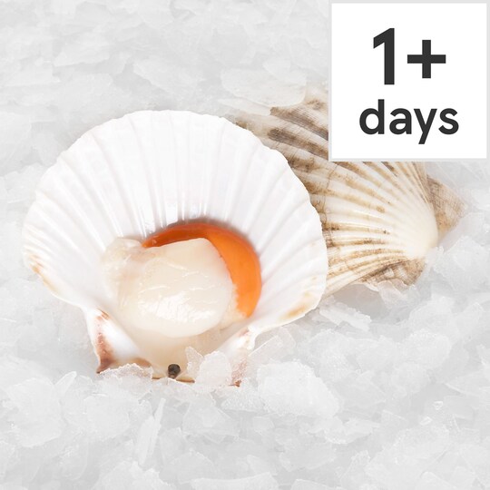 Tesco Finest Counter Raw Half Shell King Scallops Tesco Groceries