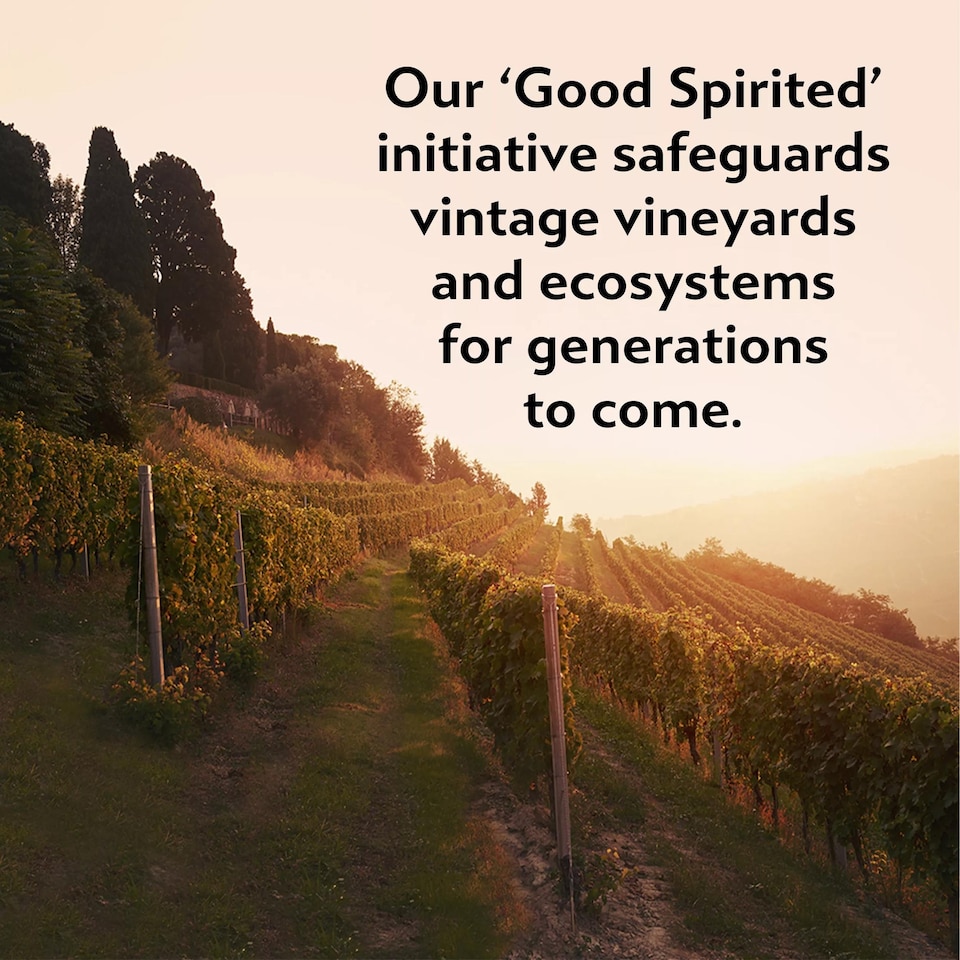 image 1 of Martini Vibrante Non-Alcoholic Aperitif 750Ml