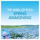 image 4 of Bold Spring Awakening Washing Pods 13 washes 252.2g