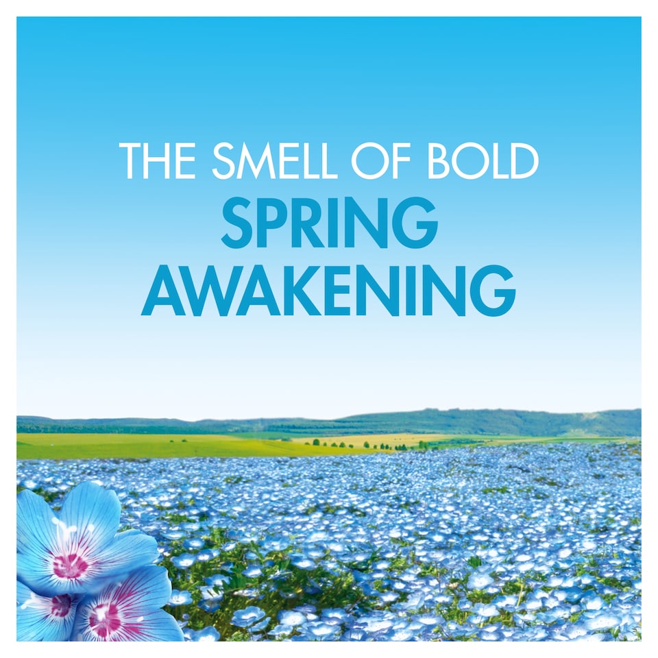 image 1 of Bold Spring Awakening Washing Pods 13 washes 252.2g