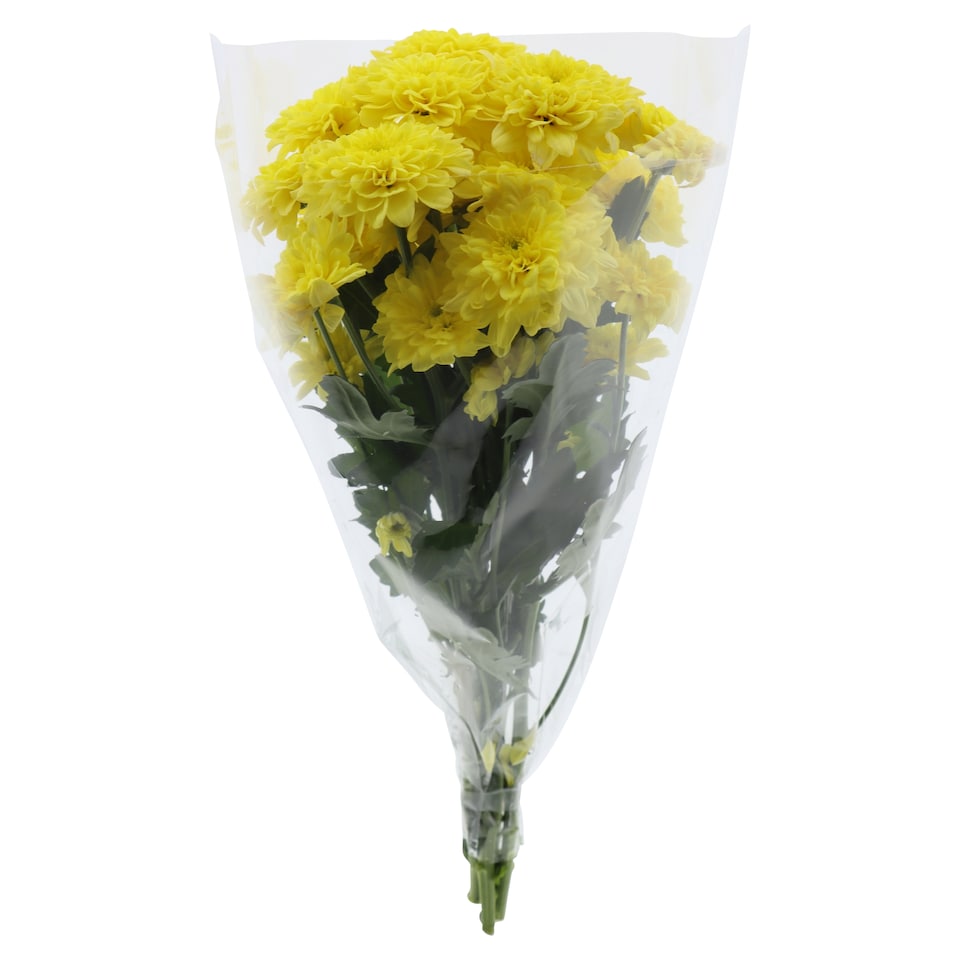 image 1 of The Floral Connection Chrysanthemum Bouquet