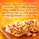 image 3 of Nature Valley Protein Salted Caramel Nut Cereal Bar 40g