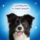 image 6 of Dentalife Small Dog Dental Chew 345G
