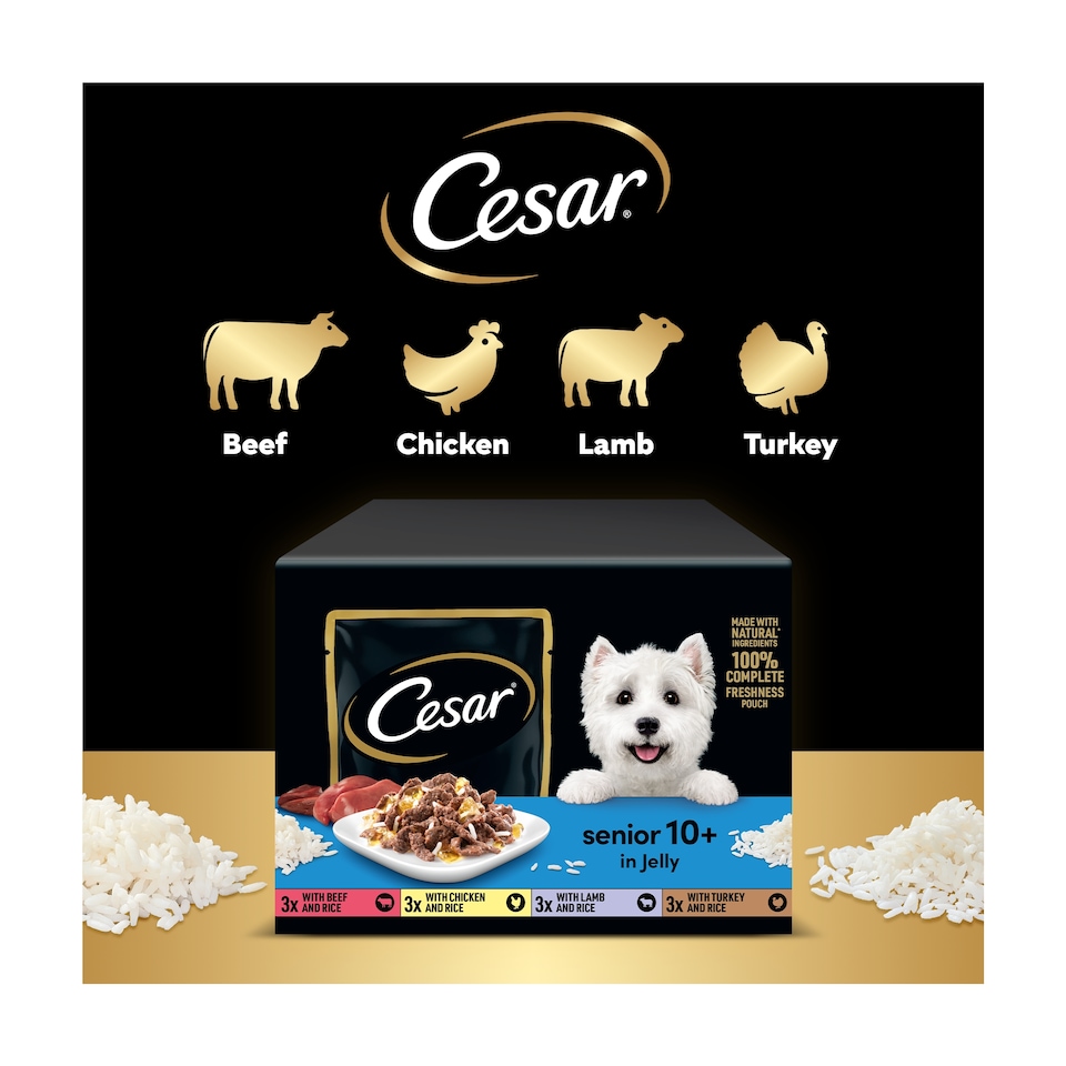 image 1 of Cesar Senior Wet Dog Food Pouches Mixed in Jelly 12x100g