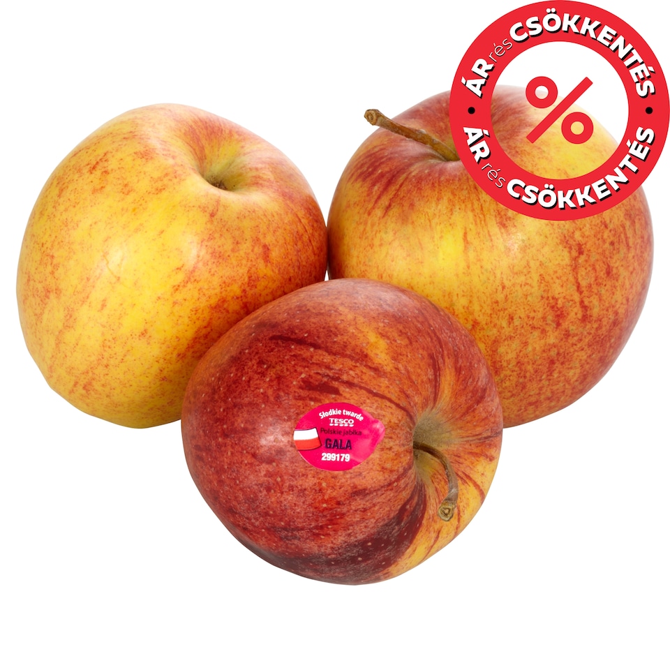 Gála alma lédig