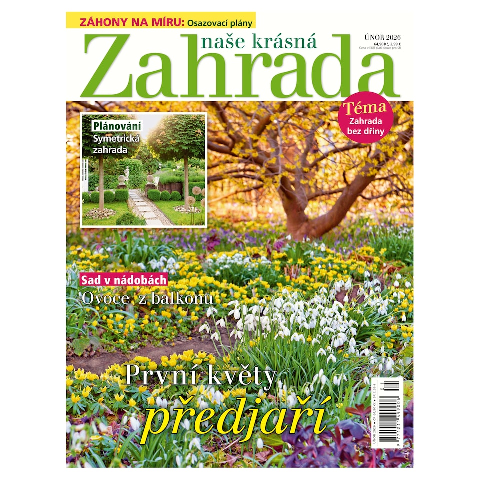 Our Beautiful Garden