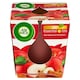 obrázok 1 z Air Wick Essential Oils Sviečka červené jablko a škorica 105 g