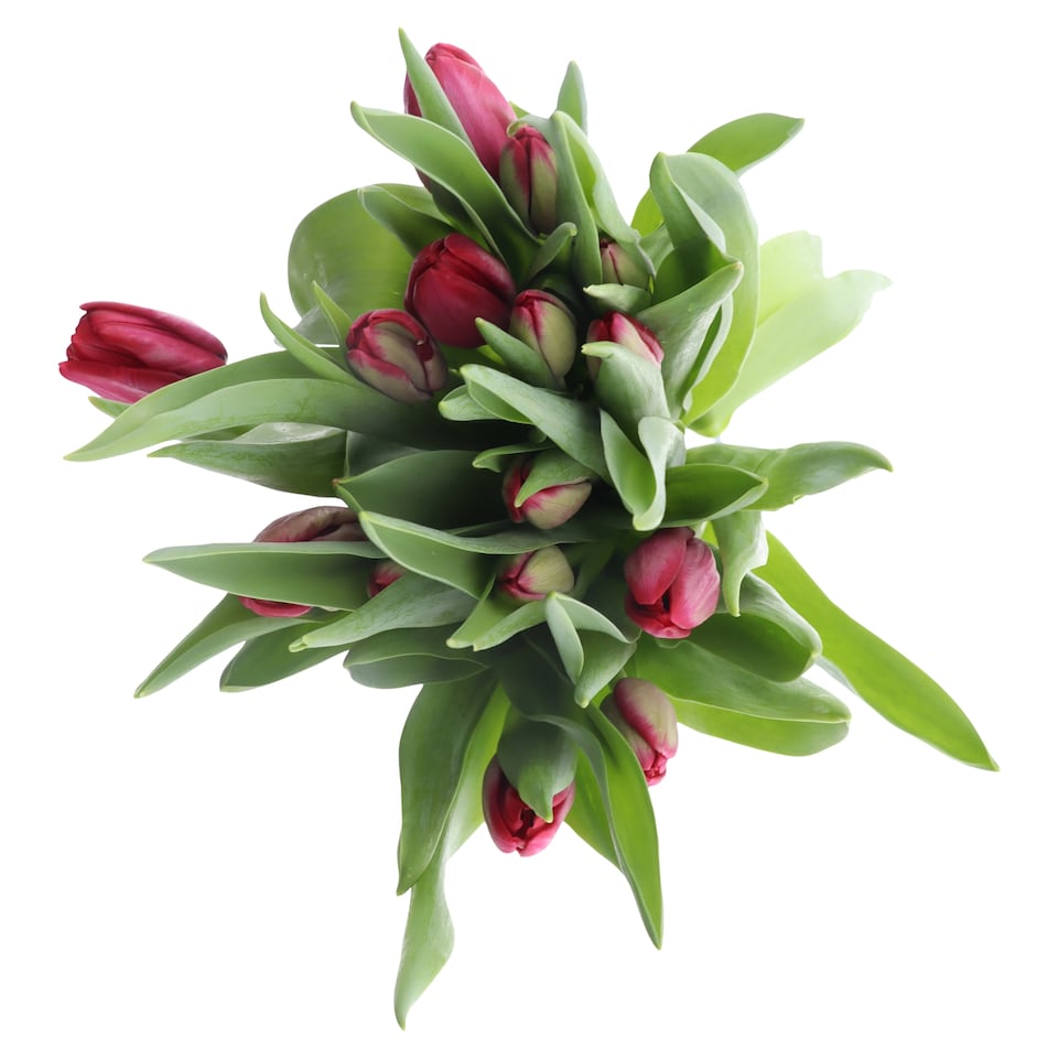 image 1 of Tesco Bouquet of Tulips 15 Stems
