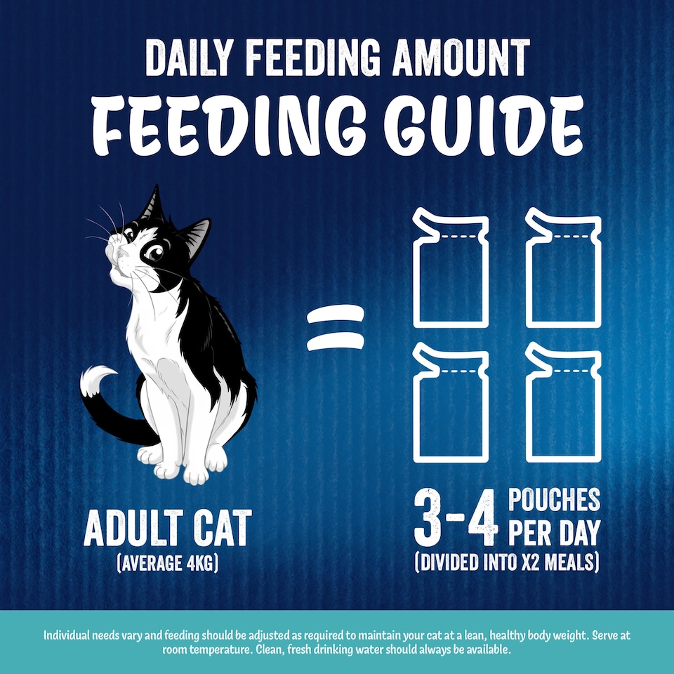 image 1 of FELIX As Good As it Looks Ocean Feasts in Jelly Wet Cat Food 40x85g