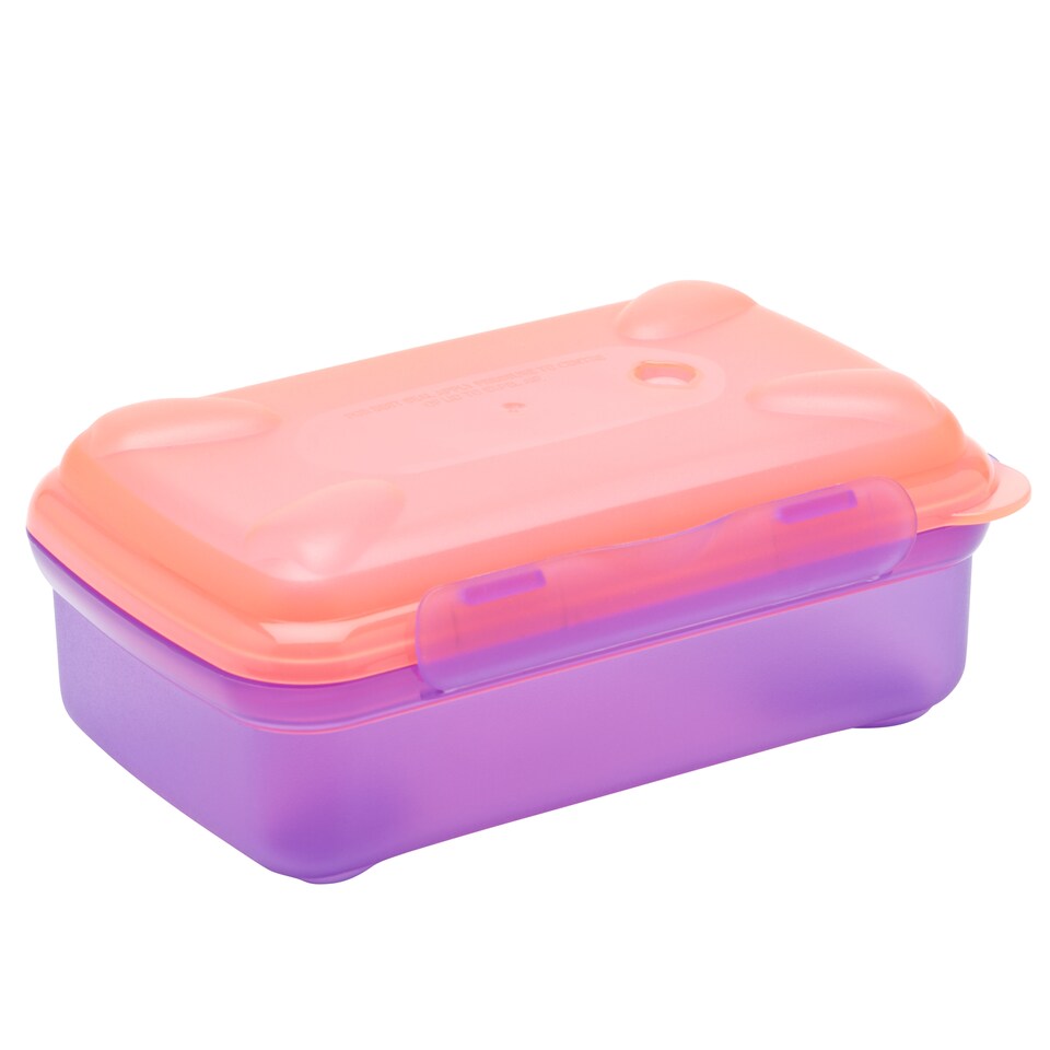 image 1 of Smash Coral/Purple Snack Box