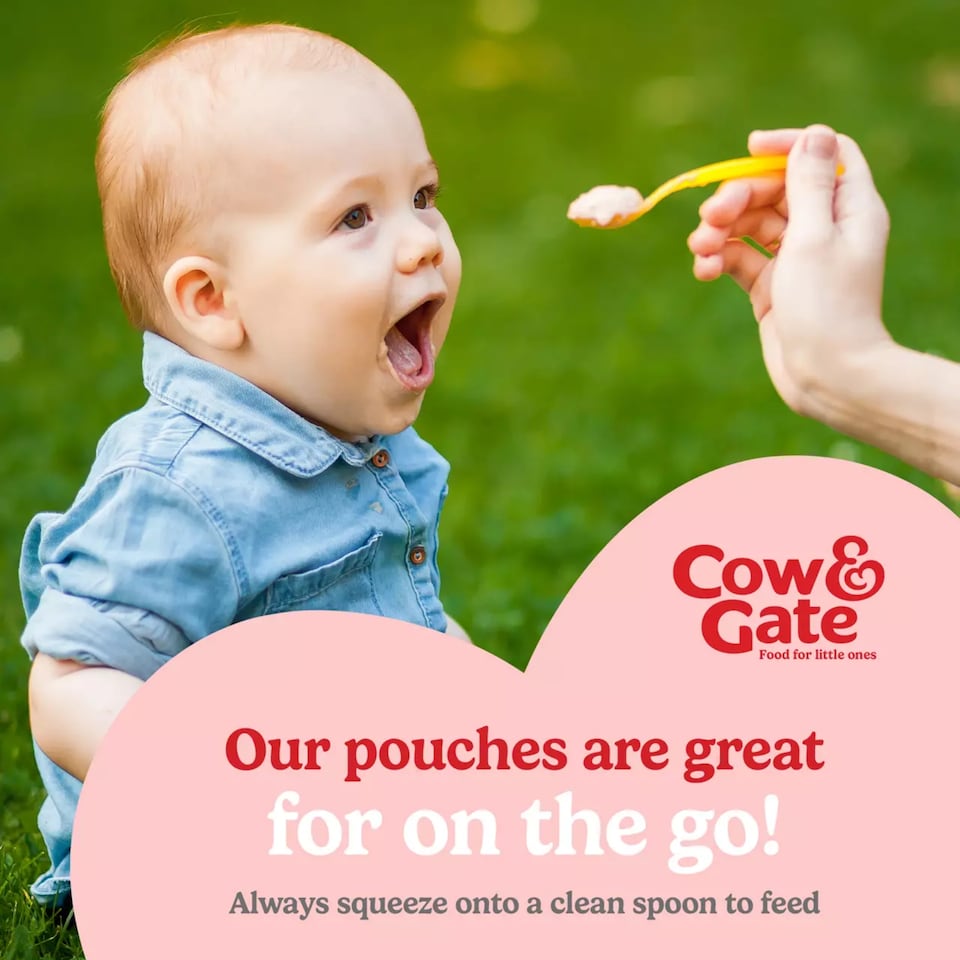 image 1 of Cow & Gate Pouches Banana Apple Strawberry Kiwi 100g