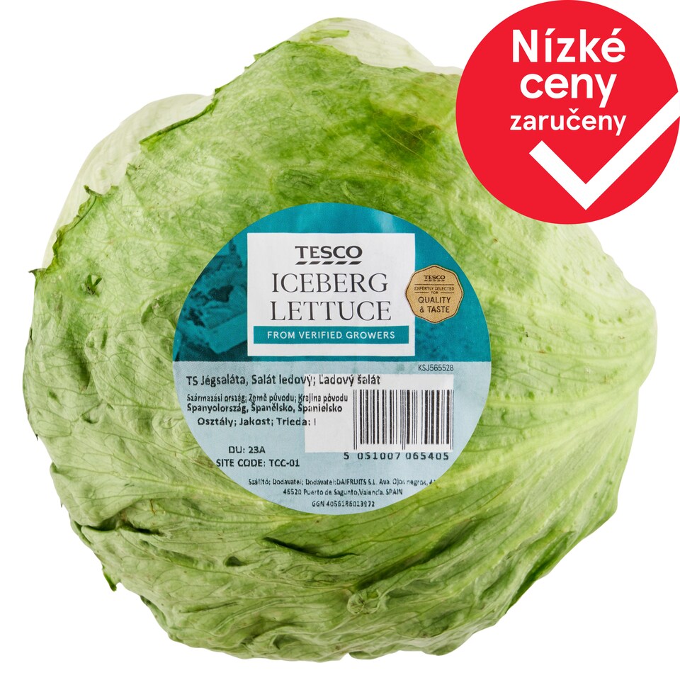 Tesco Salát ledový