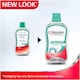 image 2 of Corsodyl Daily Mouthwash Freshmint A/Free 500Ml