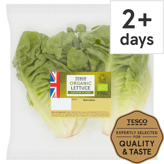 Tesco Organic Lettuce Each Tesco Groceries