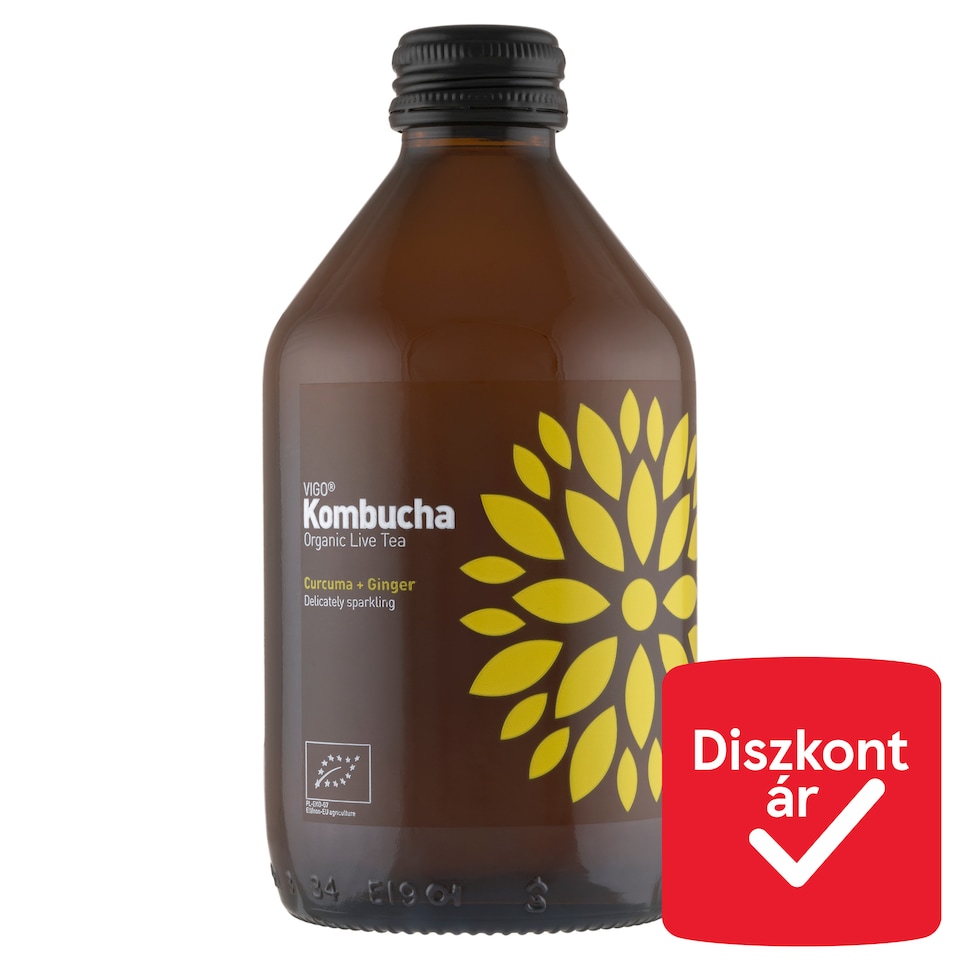 Vigo Kombucha Turmeric-Ginger Organic Living Tea 330 ml