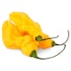 image 2 of Tesco Chilli Of The Moment 50g