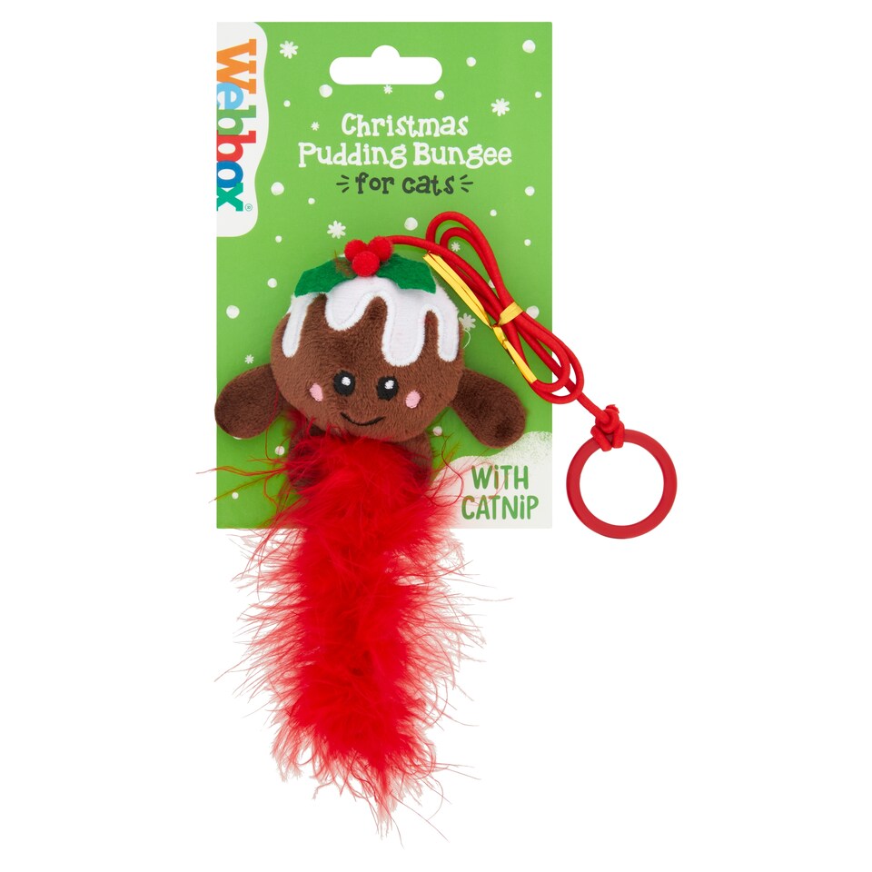 Webbox Christmas Pudding Bungee Cat Toy