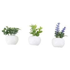 Bayswood Artificial Fridge Magnets