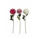 image 1 of Bayswood Artifloral Stem - Peony