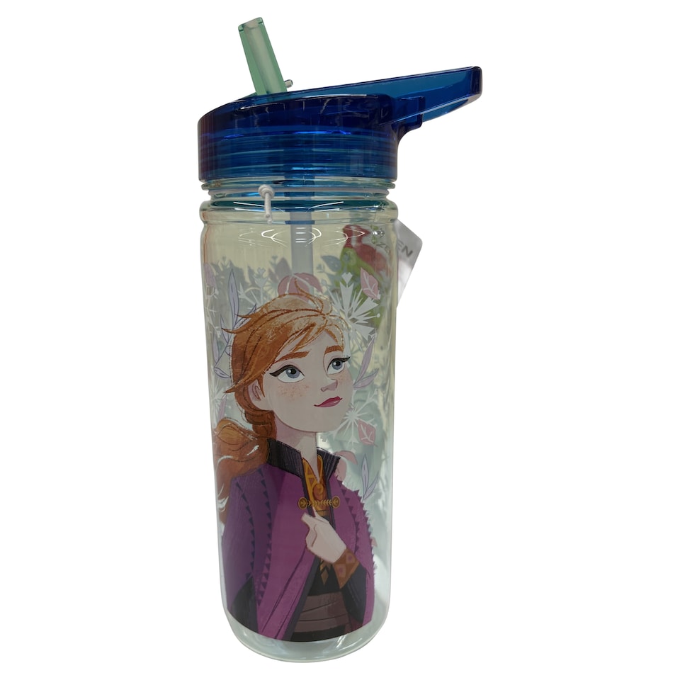 Stor Ecozen Frozen Snowy Tale fľaška