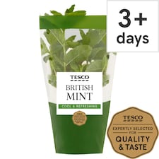 Tesco Growing Mint Medium Pot