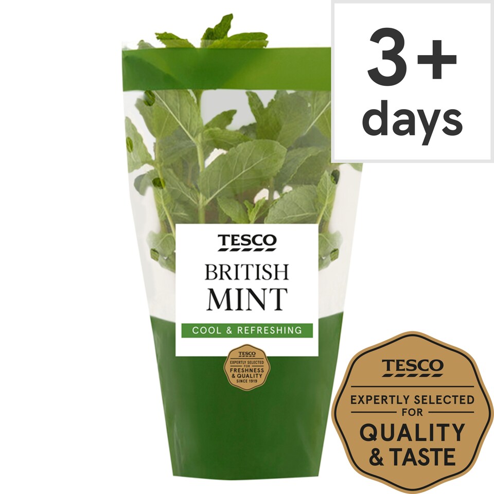 Tesco Growing Mint Medium Pot