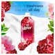 image 3 of Lenor Fabric Conditioner Jasmine & Red Berries 42 Washes 1.386Ltr