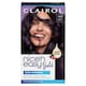 image 1 of CLAIROL NICE'N EASY BOLD PERMANENT HAIR DYE - 4.67 AMETHYST BROWN