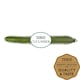 image 1 of Tesco Whole Cucumber Each