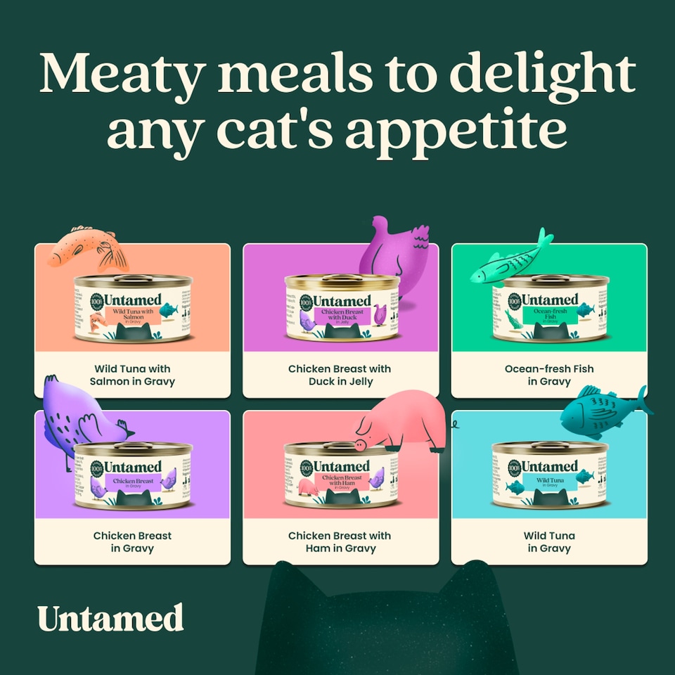 image 1 of Untamed Chicken Breast in Jelly Cat Food 75G 