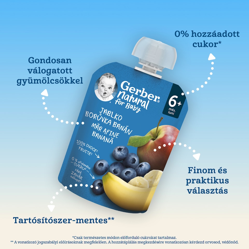image 1 of Gerber Apple-Blueberry-Banana Fruit Puree 6+ Months 90 g