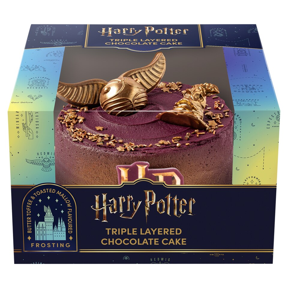 Harry Potter Triple Layered Chocolate Cake
