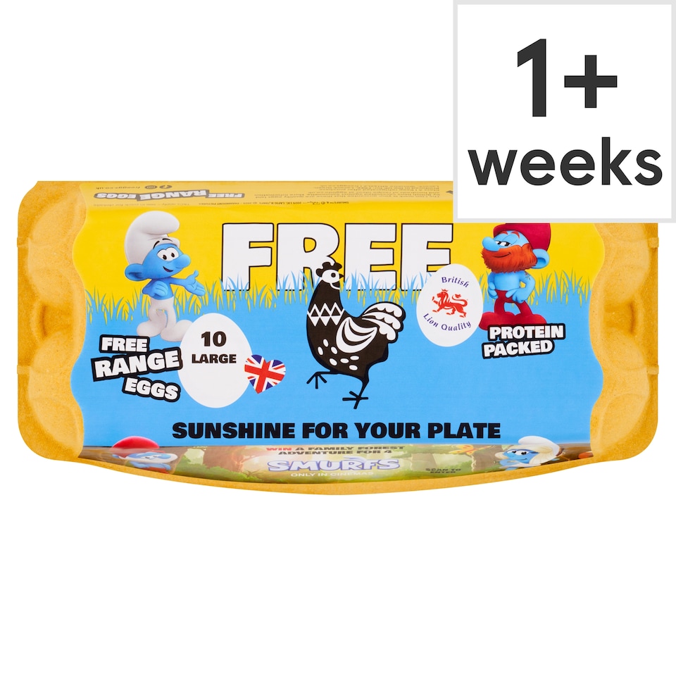 Big & Free Large White Free Range Eggs 10 Pack