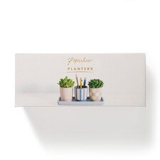 Paperchase Set of 3 Planters